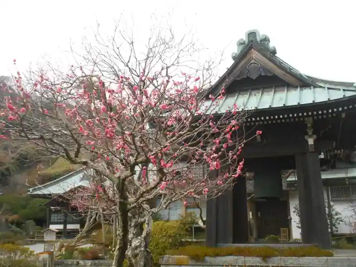 海蔵寺のその他建物