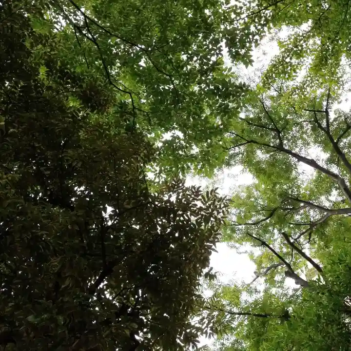 紀文稲荷神社の自然