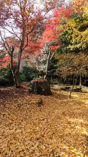 栖賢寺(京都府)