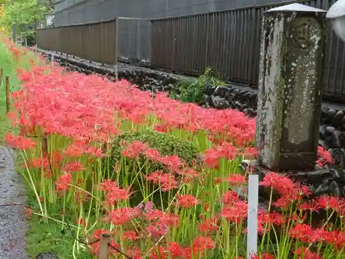横浜　西方寺の自然