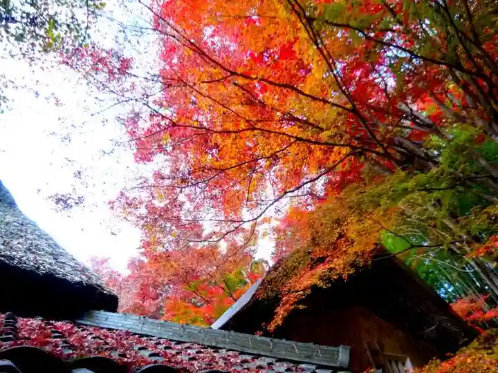 教林坊(滋賀県)