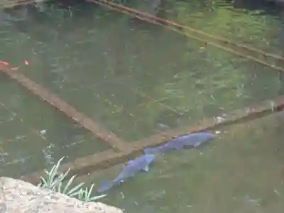 仁科神明宮(長野県)