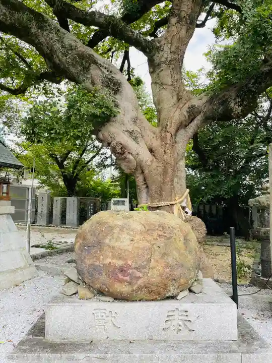 曩祖八幡宮(福岡県)