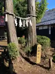 白子神社の自然