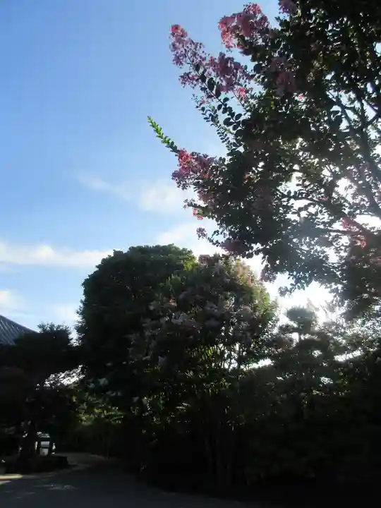 長谷寺(神奈川県)