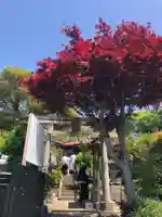 横浜御嶽神社(神奈川県)