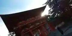 今宮神社(京都府)