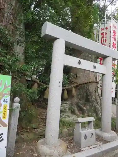 茜社の鳥居