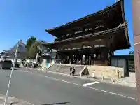 仁和寺の{uncategorized: "未分類", other: "その他", undefined: "問題あり", building: "その他建物", grave: "お墓", sacred_gate: "鳥居", guardian: "狛犬", statue: "像", buddha: "仏像", history: "歴史", nature: "自然", garden: "庭園", animal: "動物", pagoda: "塔", temizu: "手水舎", mountain_gate: "山門・神門", sanctuary: "本殿・本堂", subordinate: "末社・摂社", art: "芸術", scenery: "景色", jizo: "地蔵", ema: "絵馬", goshuin: "御朱印", omikuji: "おみくじ", items: "授与品その他", amulet: "お守り", goshuincho: "御朱印帳", eats: "食事", festival: "お祭り", votive_dance: "神楽", shichigosan: "七五三参", wedding: "結婚式", experience: "体験その他", initially: "初詣", around: "周辺", anti_infection: "感染症対策"}