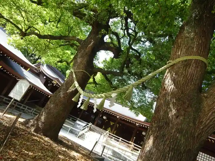 明治神宮(東京都)