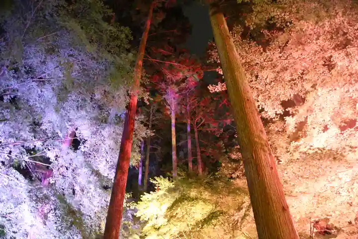 円通院(宮城県)