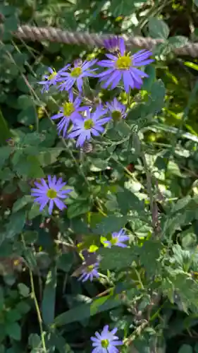 浄瑠璃寺(京都府)