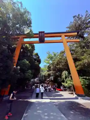 川越氷川神社(埼玉県)