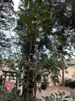 大宮温泉神社(栃木県)