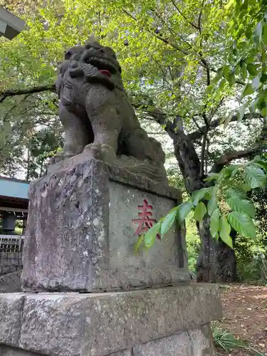 粟津神社の狛犬