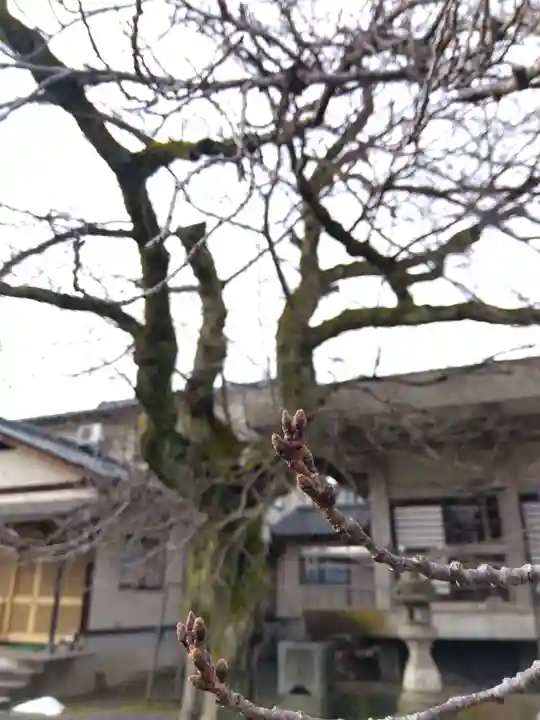 妙経寺(福井県)