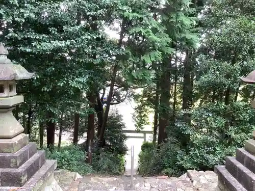 神明神社（野口）の自然