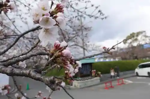 冥応寺の自然