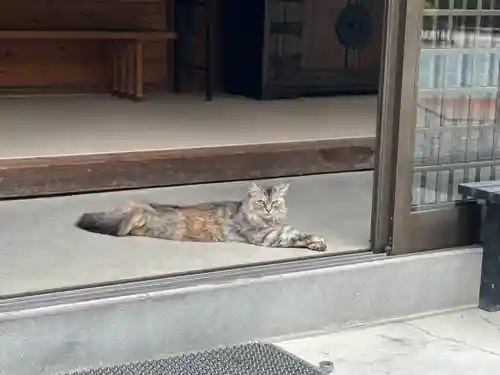 青麻神社(宮城県)