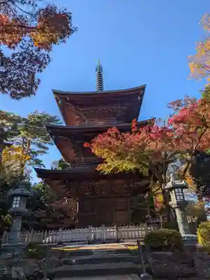 豪徳寺(東京都)
