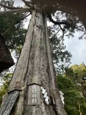 元伊勢内宮 皇大神社(京都府)