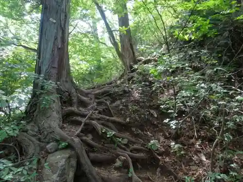 武蔵御嶽神社奥の院(東京都)