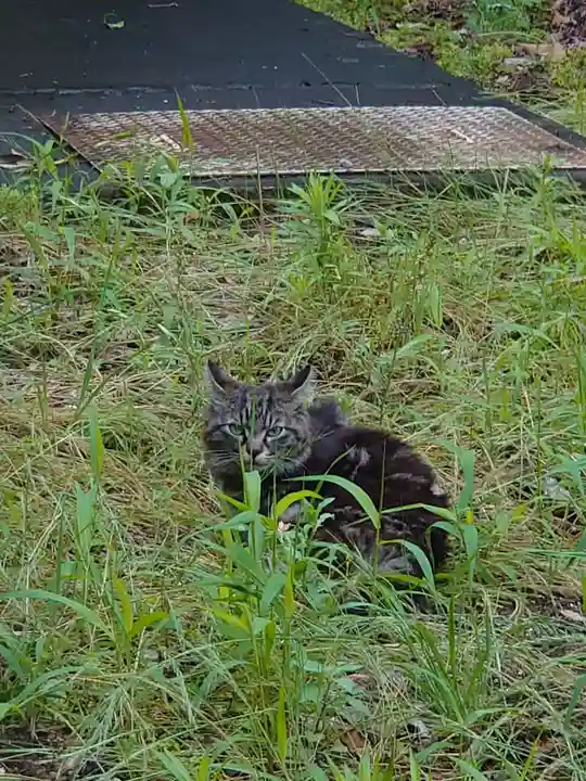 蘇我比咩神社(千葉県)