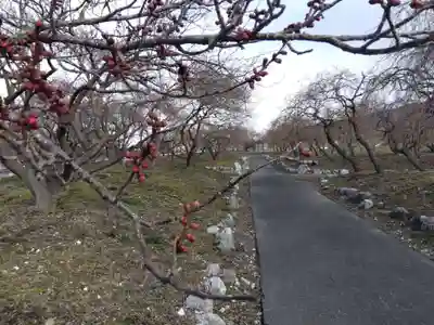 竜雲寺(三重県)