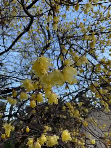 一心寺・一心禅寺(愛知県)