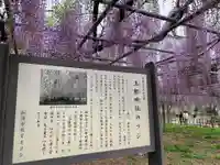 玉敷神社(埼玉県)