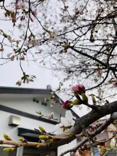 總社 和田八幡宮の自然