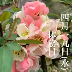 豊景神社(福島県)