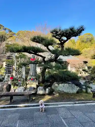 伊勢の国 四天王寺の庭園