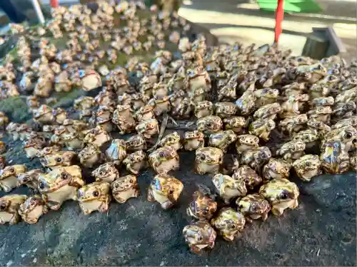 渋川八幡宮(群馬県)