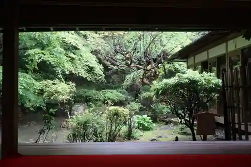 長楽寺の庭園