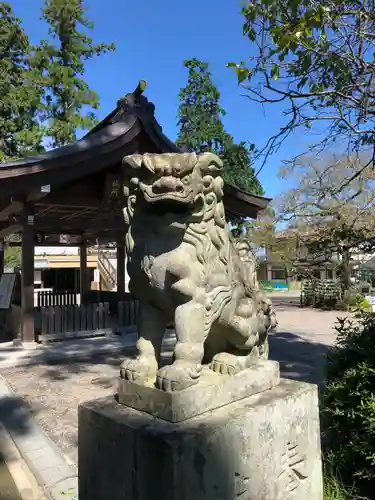 高麗神社の狛犬