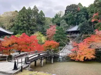 知恩院(京都府)