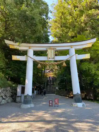 宝登山神社(埼玉県)