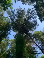 浅間神社(千葉県)