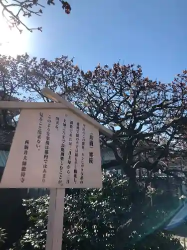 西新井大師総持寺の歴史