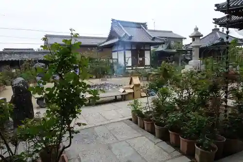 おふさ観音（観音寺）のその他建物