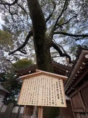 多賀神社（尾張多賀神社）の{uncategorized: "未分類", other: "その他", undefined: "問題あり", building: "その他建物", grave: "お墓", sacred_gate: "鳥居", guardian: "狛犬", statue: "像", buddha: "仏像", history: "歴史", nature: "自然", garden: "庭園", animal: "動物", pagoda: "塔", temizu: "手水舎", mountain_gate: "山門・神門", sanctuary: "本殿・本堂", subordinate: "末社・摂社", art: "芸術", scenery: "景色", jizo: "地蔵", ema: "絵馬", goshuin: "御朱印", omikuji: "おみくじ", items: "授与品その他", amulet: "お守り", goshuincho: "御朱印帳", eats: "食事", festival: "お祭り", votive_dance: "神楽", shichigosan: "七五三参", wedding: "結婚式", experience: "体験その他", initially: "初詣", around: "周辺", anti_infection: "感染症対策"}