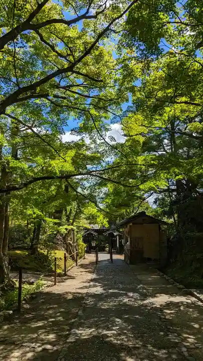 常寂光寺(京都府)