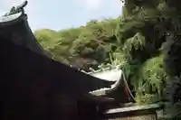 洲崎神社の本殿・本堂