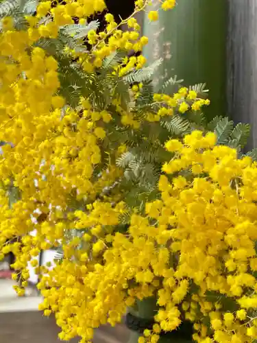 霊鑑寺門跡(京都府)