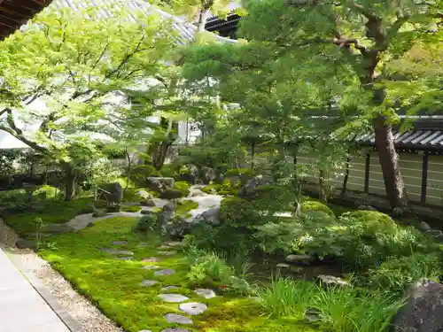 禅林寺（永観堂）の庭園