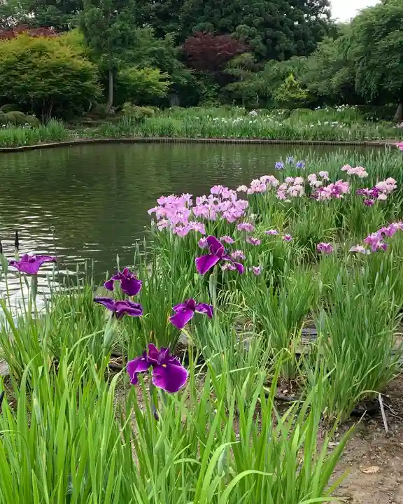 伊佐須美神社の自然