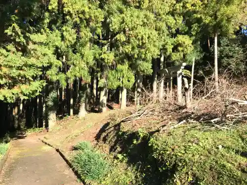 白山神社の自然