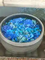 津島神社の手水舎