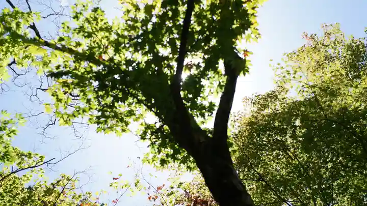 詩仙堂(丈山寺)(京都府)